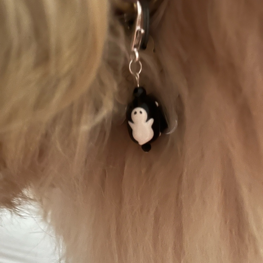 🎃Halloween/Fall pet charm